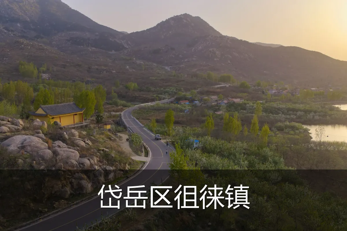 岱岳区徂徕镇