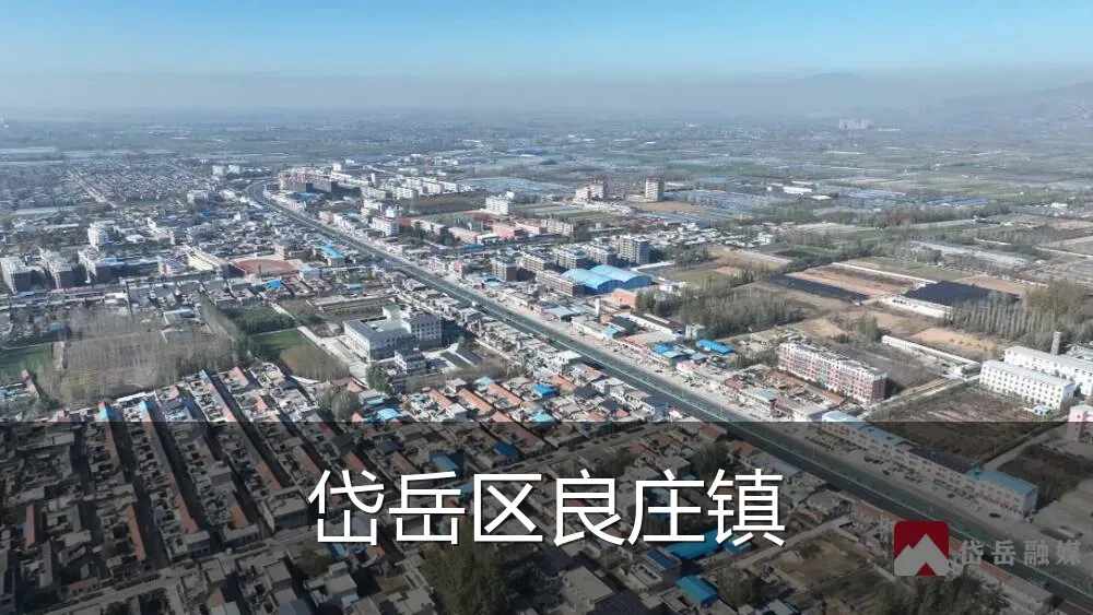 岱岳区良庄镇